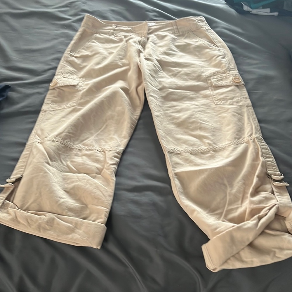 Ann Taylor loft capri pants